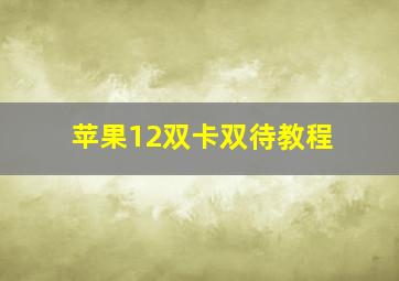 苹果12双卡双待教程