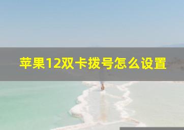 苹果12双卡拨号怎么设置