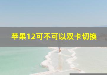 苹果12可不可以双卡切换