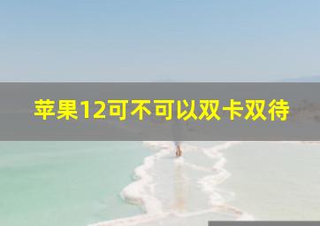 苹果12可不可以双卡双待