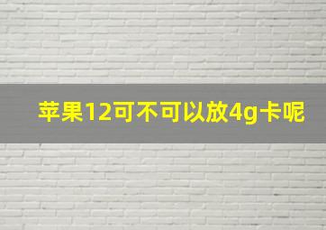 苹果12可不可以放4g卡呢