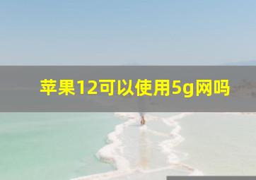 苹果12可以使用5g网吗