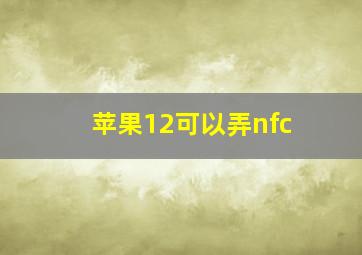 苹果12可以弄nfc