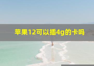 苹果12可以插4g的卡吗