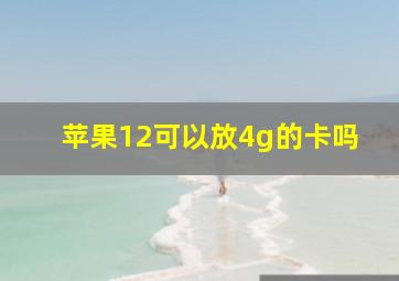 苹果12可以放4g的卡吗