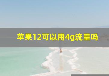 苹果12可以用4g流量吗