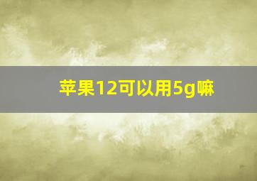 苹果12可以用5g嘛