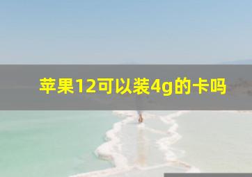 苹果12可以装4g的卡吗