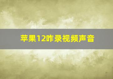 苹果12咋录视频声音