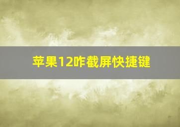 苹果12咋截屏快捷键