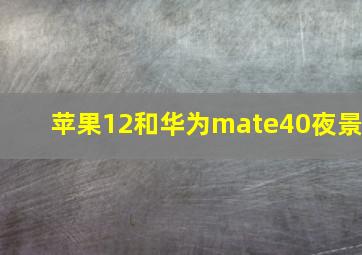 苹果12和华为mate40夜景