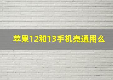 苹果12和13手机壳通用么