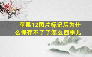 苹果12图片标记后为什么保存不了了怎么回事儿