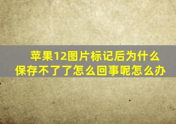 苹果12图片标记后为什么保存不了了怎么回事呢怎么办