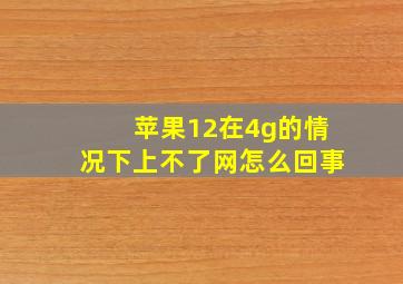 苹果12在4g的情况下上不了网怎么回事