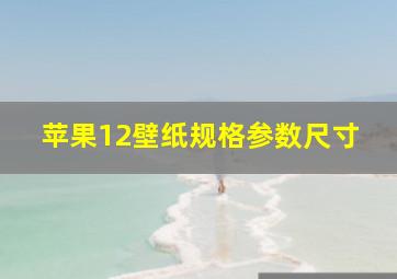 苹果12壁纸规格参数尺寸