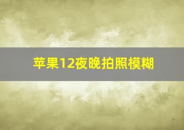 苹果12夜晚拍照模糊