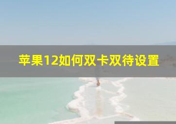 苹果12如何双卡双待设置