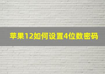 苹果12如何设置4位数密码