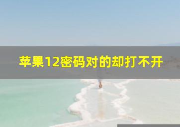 苹果12密码对的却打不开