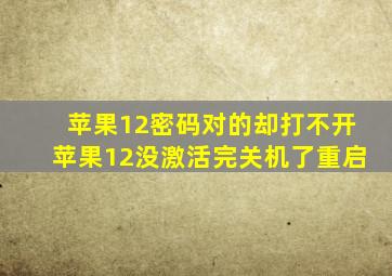 苹果12密码对的却打不开苹果12没激活完关机了重启