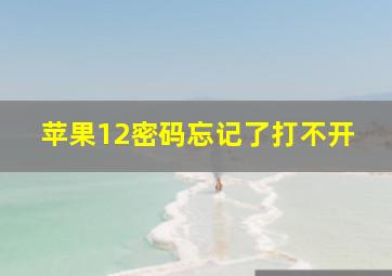 苹果12密码忘记了打不开