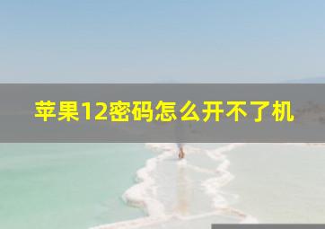 苹果12密码怎么开不了机