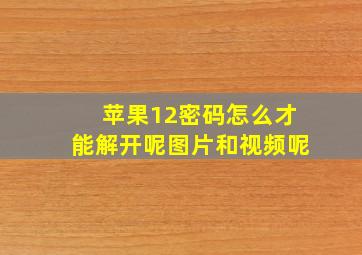 苹果12密码怎么才能解开呢图片和视频呢