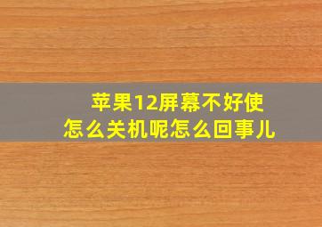 苹果12屏幕不好使怎么关机呢怎么回事儿