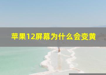 苹果12屏幕为什么会变黄