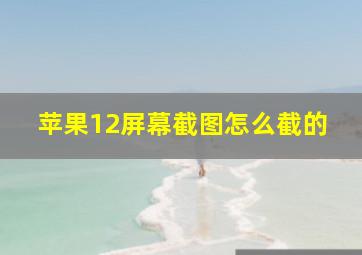 苹果12屏幕截图怎么截的