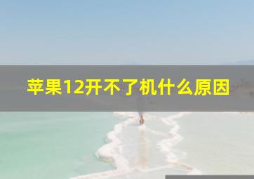 苹果12开不了机什么原因