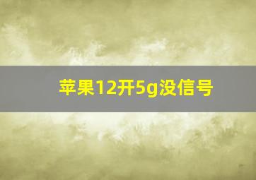 苹果12开5g没信号