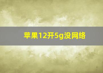 苹果12开5g没网络