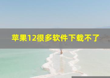 苹果12很多软件下载不了