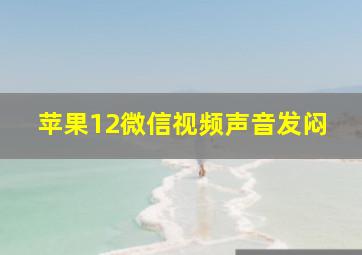 苹果12微信视频声音发闷