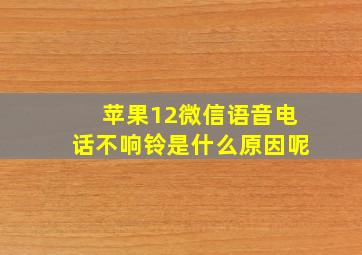 苹果12微信语音电话不响铃是什么原因呢