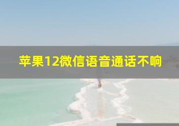 苹果12微信语音通话不响