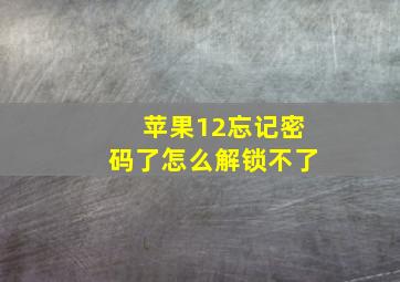 苹果12忘记密码了怎么解锁不了