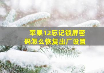 苹果12忘记锁屏密码怎么恢复出厂设置