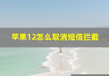 苹果12怎么取消短信拦截