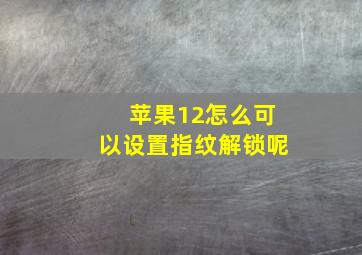 苹果12怎么可以设置指纹解锁呢