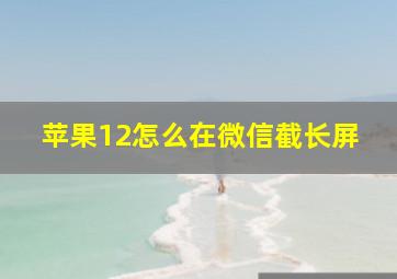 苹果12怎么在微信截长屏