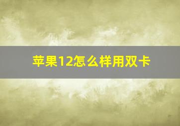 苹果12怎么样用双卡