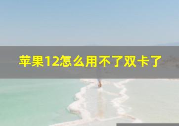 苹果12怎么用不了双卡了