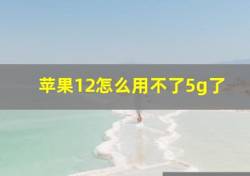 苹果12怎么用不了5g了