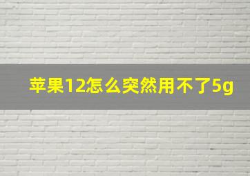 苹果12怎么突然用不了5g