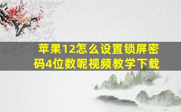 苹果12怎么设置锁屏密码4位数呢视频教学下载