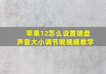 苹果12怎么设置键盘声音大小调节呢视频教学