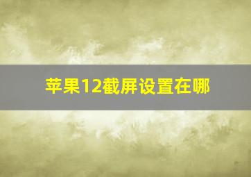 苹果12截屏设置在哪